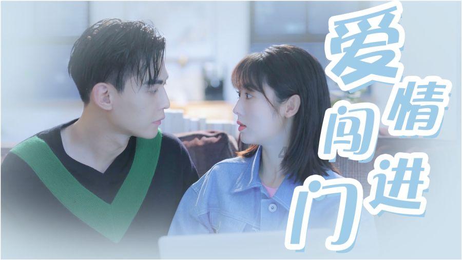 全战：幕府将军2